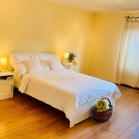 Sunny Attic Apartment Зволен Экстерьер фото